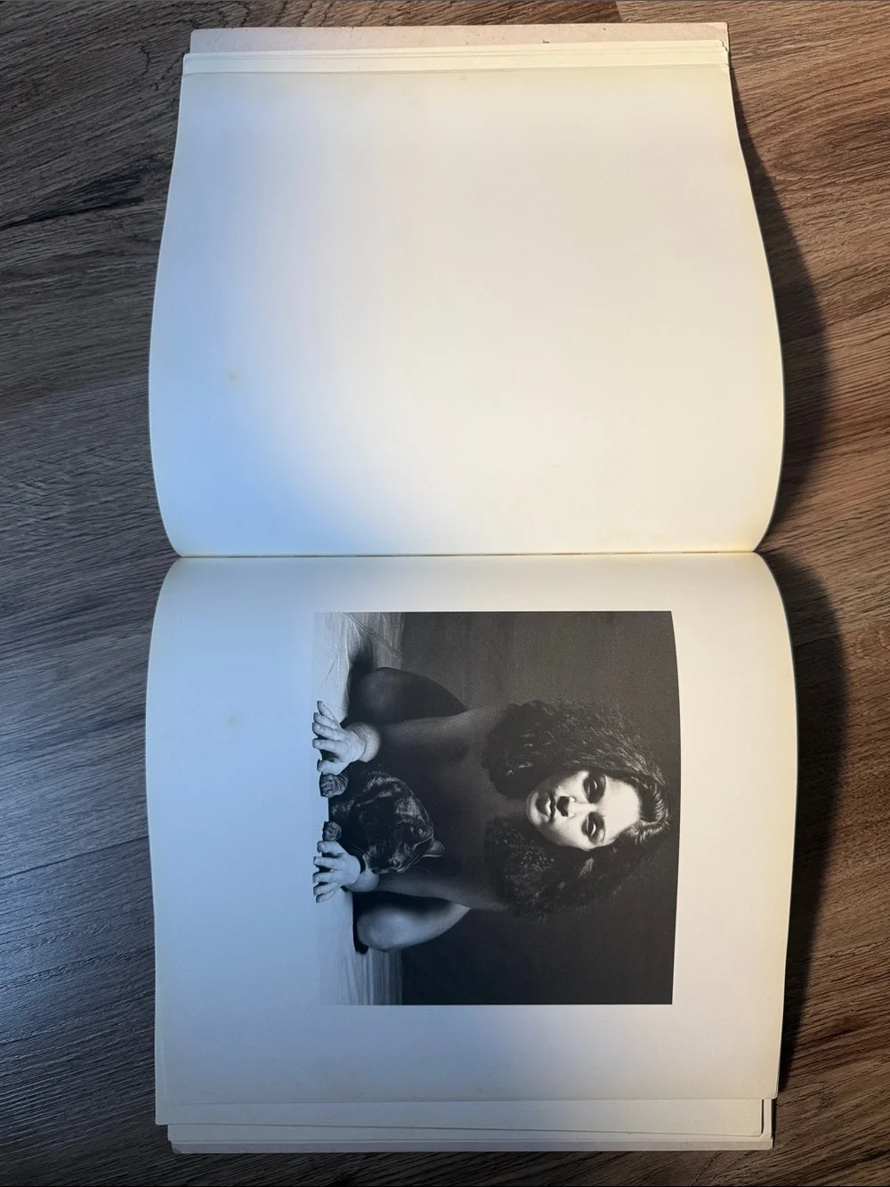 Madonna Nudes 1979 Photo Book by Martin H.M. Schreiber